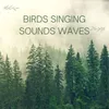 Birds Singing Sounds Waves